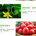 磷酸二氢钾果树蔬菜专用保花保果调节生长