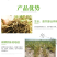 磷酸二氢钾果树蔬菜专用保花保果调节生长
