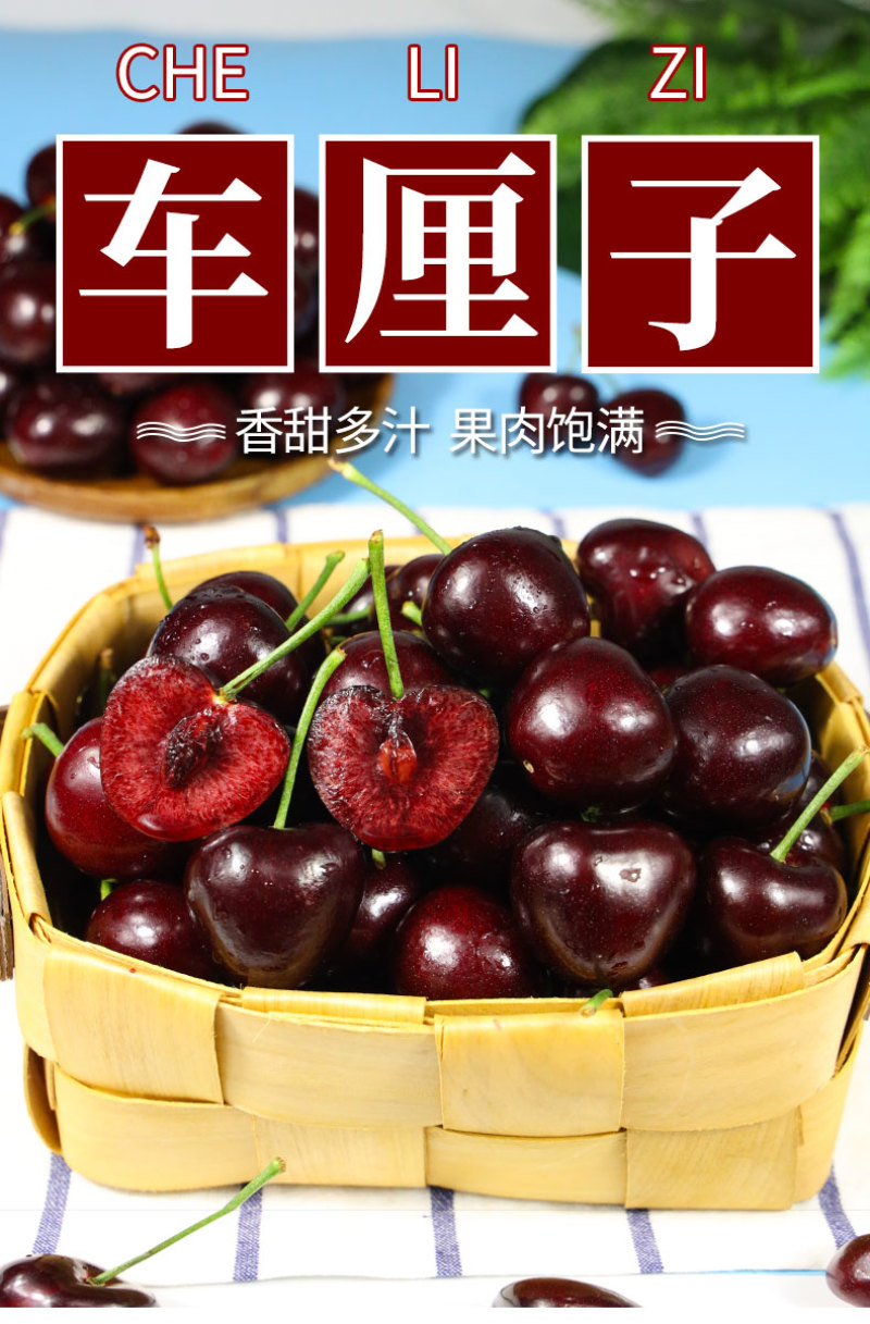 一件代发智利进口车厘子新鲜供应电商全平台/淘宝直播