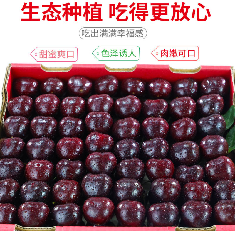 一件代发智利进口车厘子新鲜供应电商全平台/淘宝直播