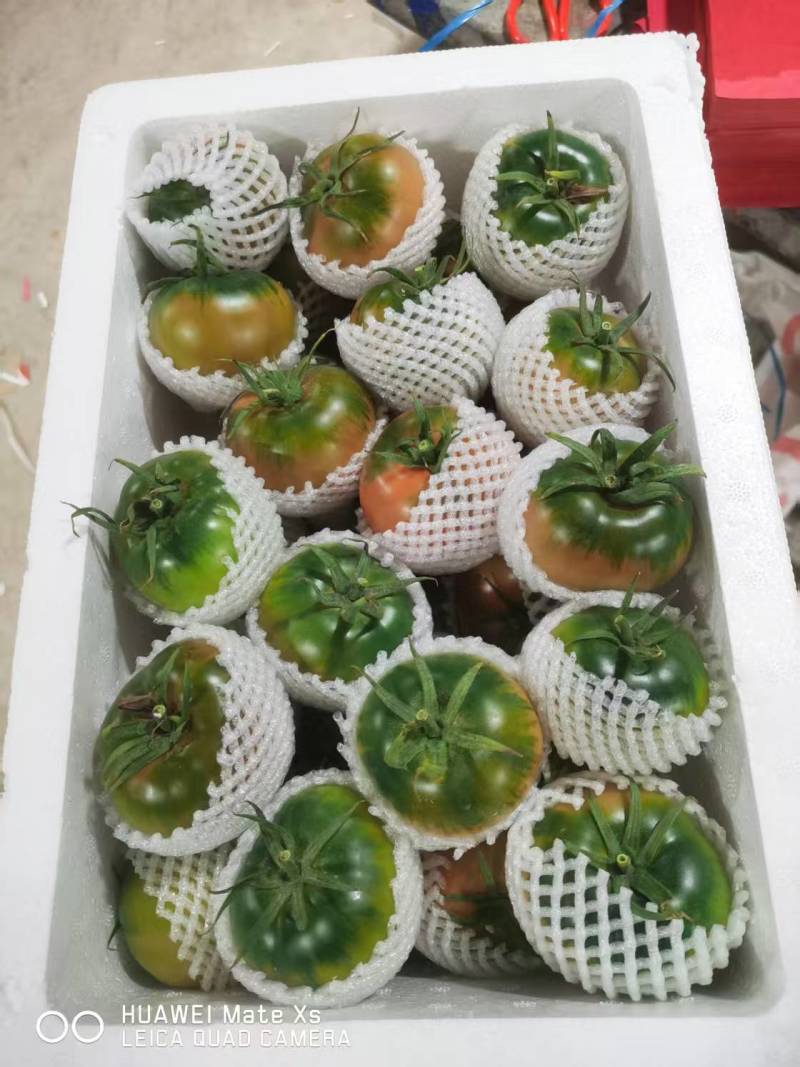【脆甜】草莓西红柿福建新鲜西红柿番茄量大从优欢迎选购