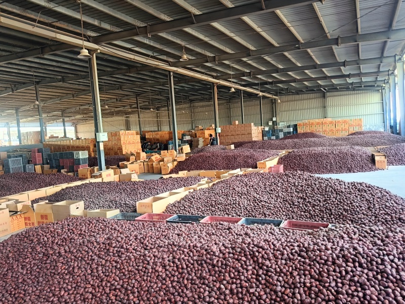 和田大枣/产地新疆/对接电商商超，欢迎全国各地客商