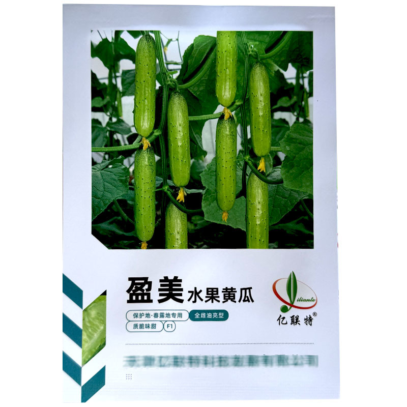 盈美水果黄瓜种子全雌油亮型薄皮肉厚保护地春露地种植