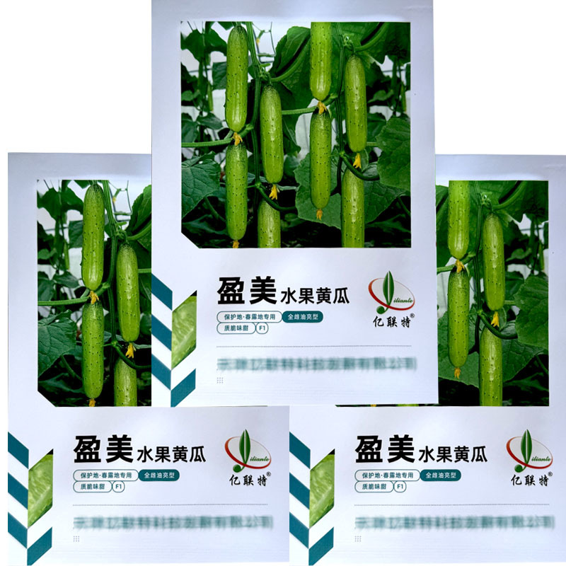 盈美水果黄瓜种子全雌油亮型薄皮肉厚保护地春露地种植
