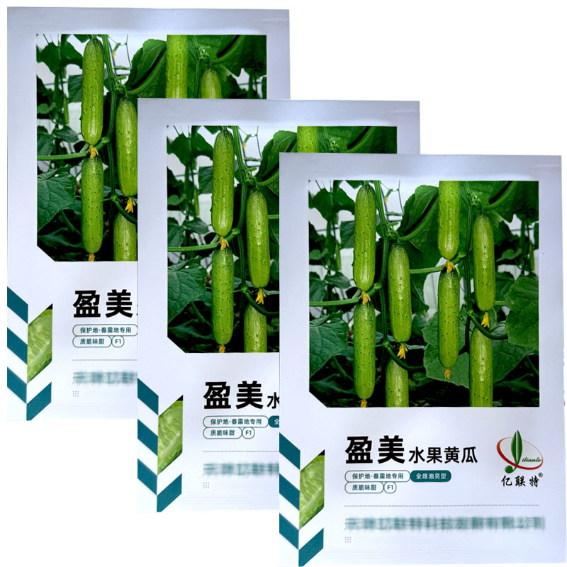 盈美水果黄瓜种子全雌油亮型薄皮肉厚保护地春露地种植