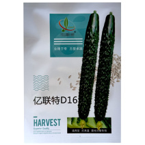 亮优D16黄瓜种子早熟绿肉油亮型抗高温夏秋露地小拱棚