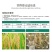 3%甲霜恶霉灵农药杀菌剂蔬菜枯萎病黄萎青枯病根腐病猝倒病
