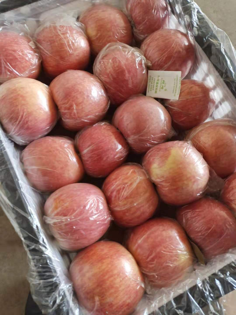 优选精品红富士，产地直销，量大优惠，欢迎联系