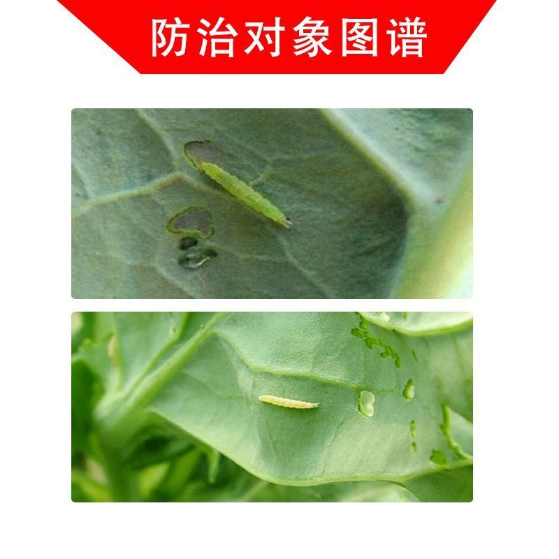 20%氯虫苯甲酰胺茚虫威甘蓝小菜蛾钻心虫青虫杀虫剂农用