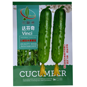 达芬奇水果黄瓜种子强雌水果黄瓜旱黄瓜春秋季种植基地