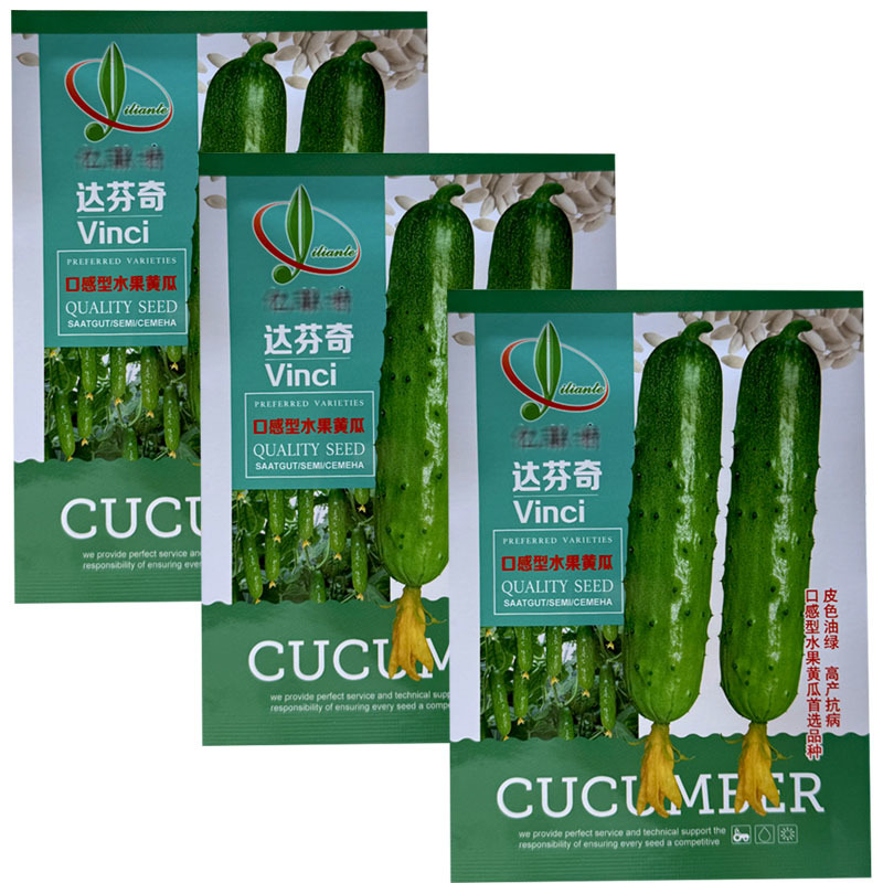 达芬奇水果黄瓜种子强雌水果黄瓜旱黄瓜春秋季种植基地