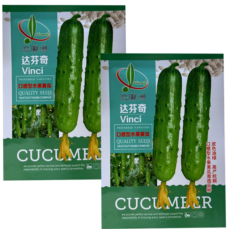 达芬奇水果黄瓜种子强雌水果黄瓜旱黄瓜春秋季种植基地
