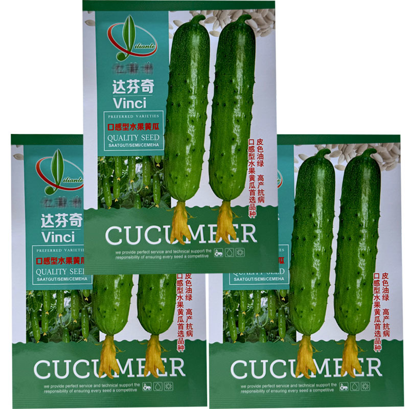 达芬奇水果黄瓜种子强雌水果黄瓜旱黄瓜春秋季种植基地