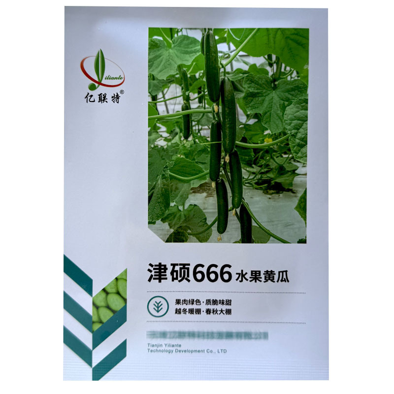 津硕666水果黄瓜种子早熟全雌节节有瓜甜无刺小黄瓜