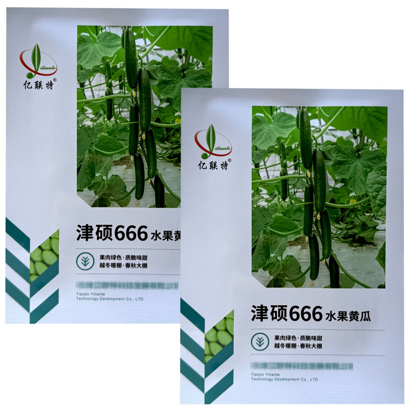 津硕666水果黄瓜种子早熟全雌节节有瓜甜无刺小黄瓜