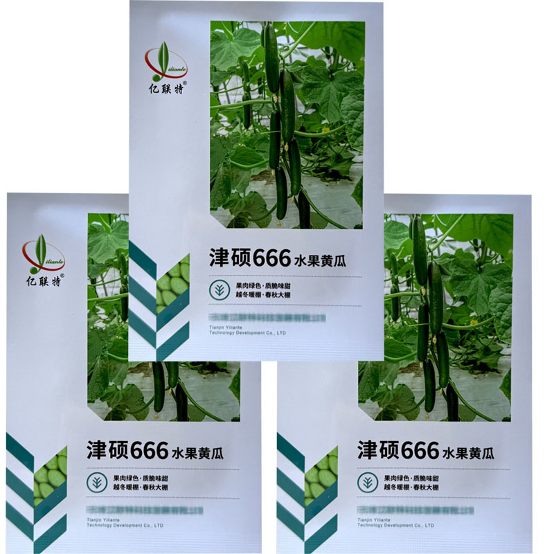 津硕666水果黄瓜种子早熟全雌节节有瓜甜无刺小黄瓜