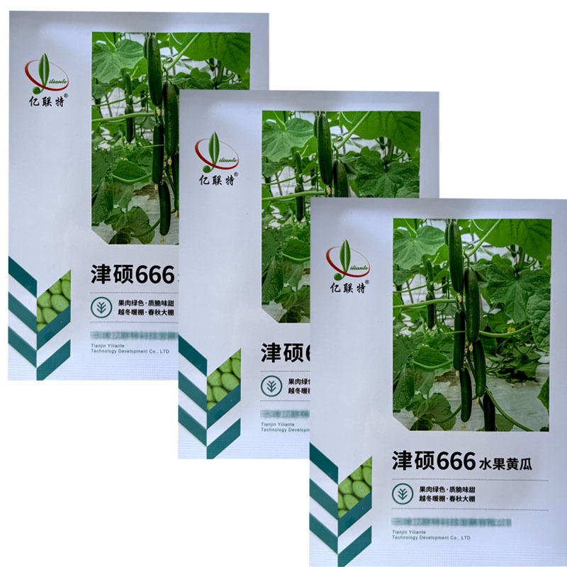 津硕666水果黄瓜种子早熟全雌节节有瓜甜无刺小黄瓜
