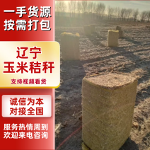 精品玉米秸秆出售，有需要的联系我，物美价廉，保质保量