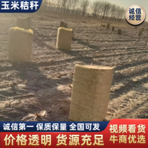 出售玉米桔杆。一手货源，诚信经营，可视频看货