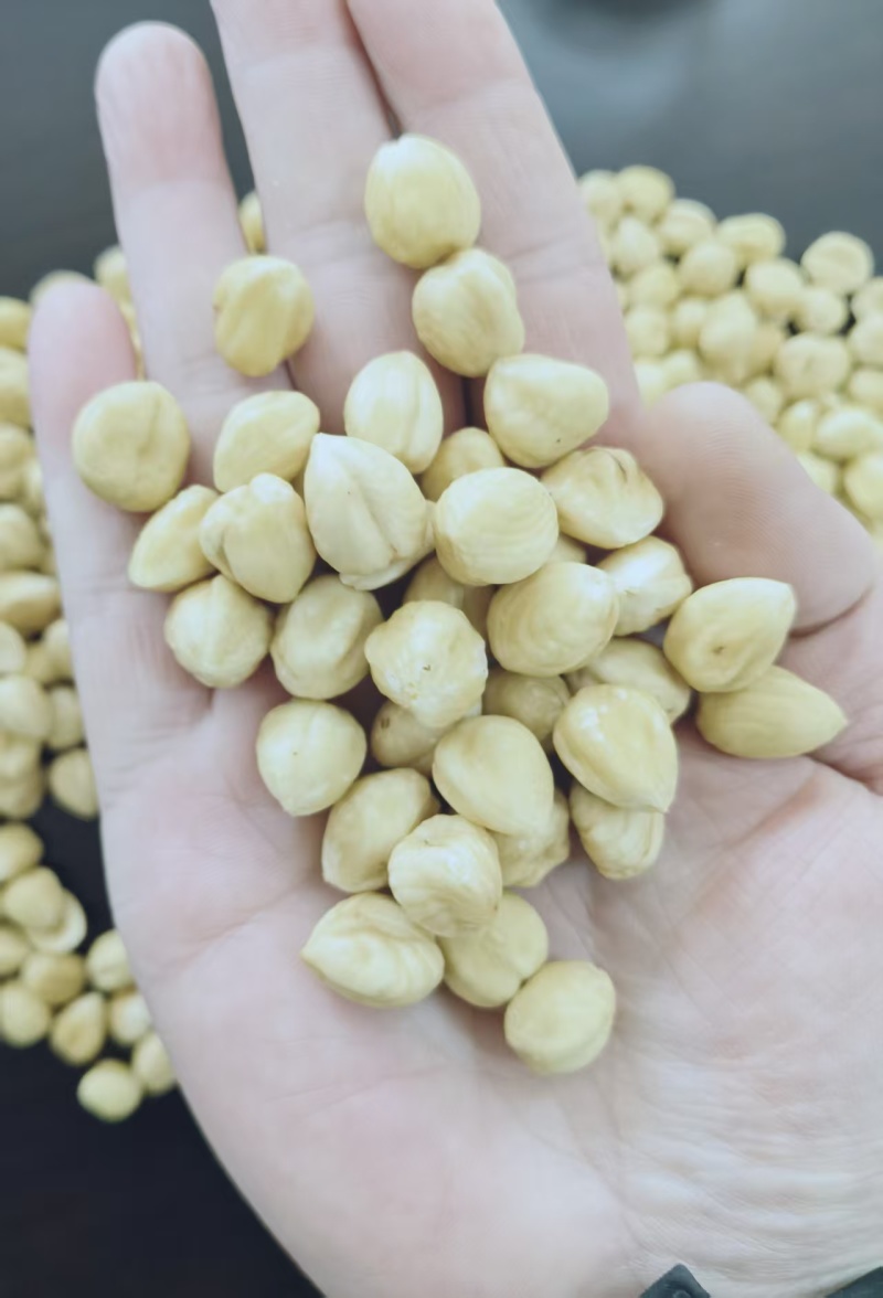 2025新货东北大榛子仁坚果烘培干果孕妇特产零食年货批发