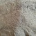 【猫爪草种】大量供应猫爪草种子保质保量可代存储