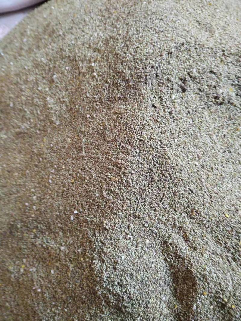 【猫爪草种】大量供应猫爪草种子保质保量可代存储