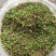 【猫爪草种】大量供应猫爪草种子保质保量可代存储