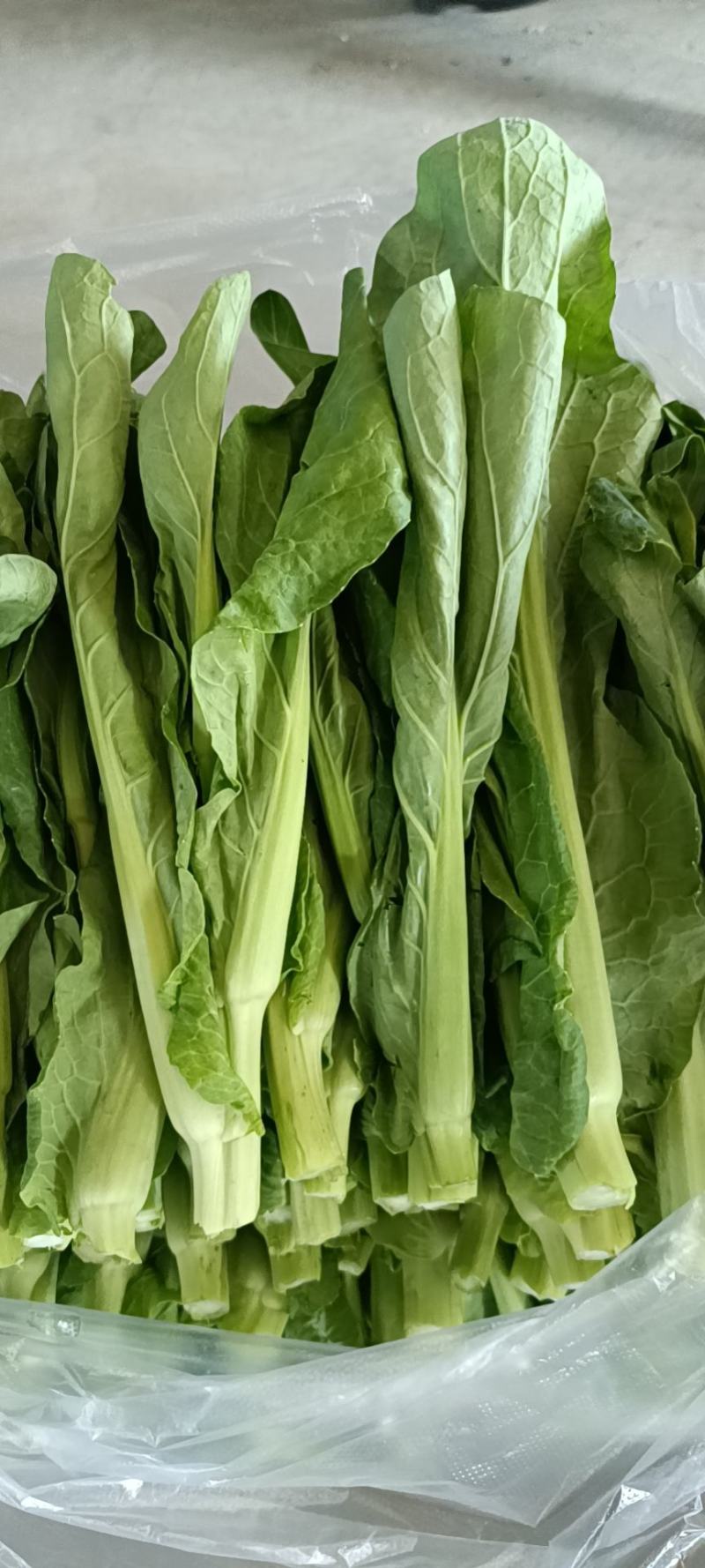 白菜苔新鲜菜苔对接电商社区团购一件代发价格实惠