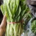 白菜苔新鲜菜苔对接电商社区团购一件代发价格实惠