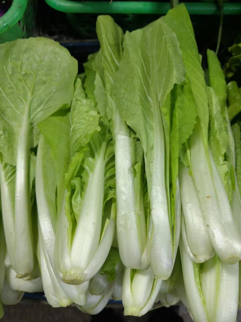 湖北快菜对接电商市场一件代发货源充足量大从优