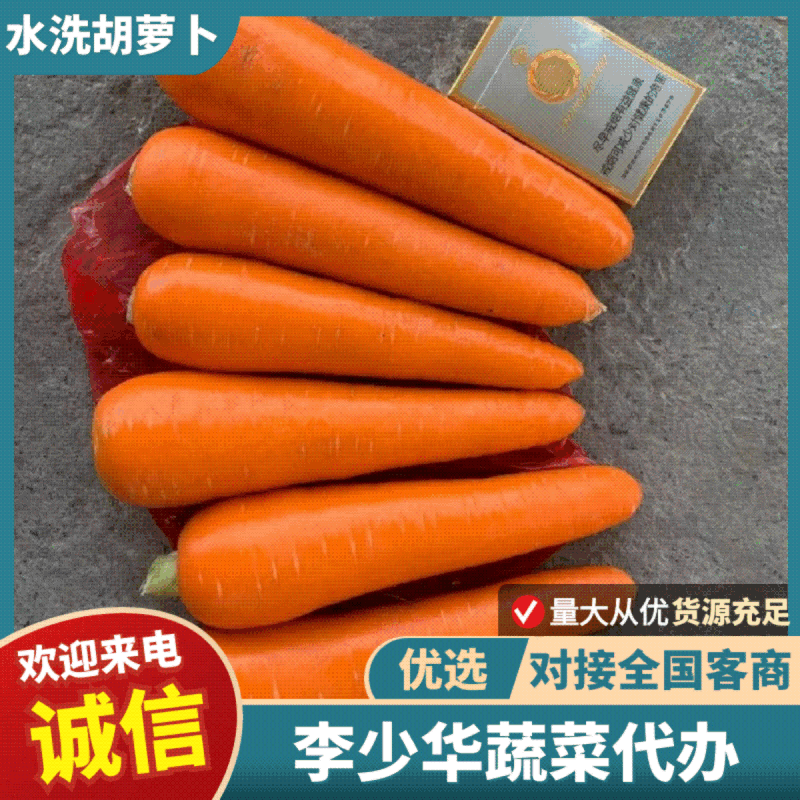 水洗红胡萝卜中条小条可供电商超市诚信经营全国发货