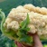 湖北精品松花菜菜花供全国商超市场一件代发