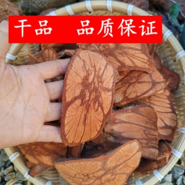 野生九龙腾龙须腾梅花入骨丹穿心菊五花血藤药材原料