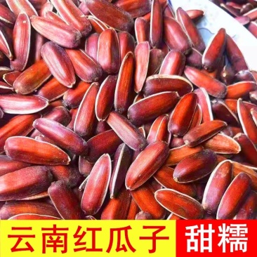 云南生红瓜子大颗粒散装小包装原味甜糯新货零食红皮瓜子生葵