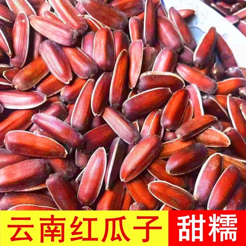 云南生红瓜子大颗粒散装小包装原味甜糯新货零食红皮瓜子生葵