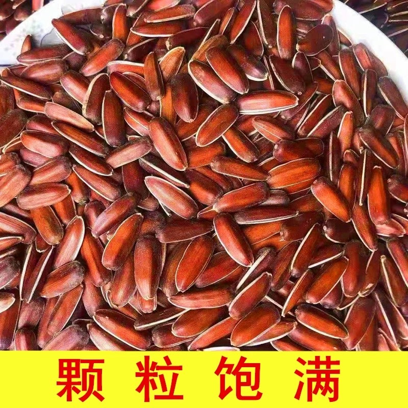 云南生红瓜子大颗粒散装小包装原味甜糯新货零食红皮瓜子生葵