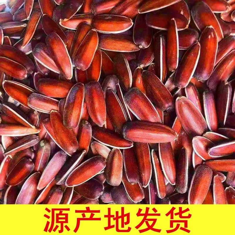 云南生红瓜子大颗粒散装小包装原味甜糯新货零食红皮瓜子生葵