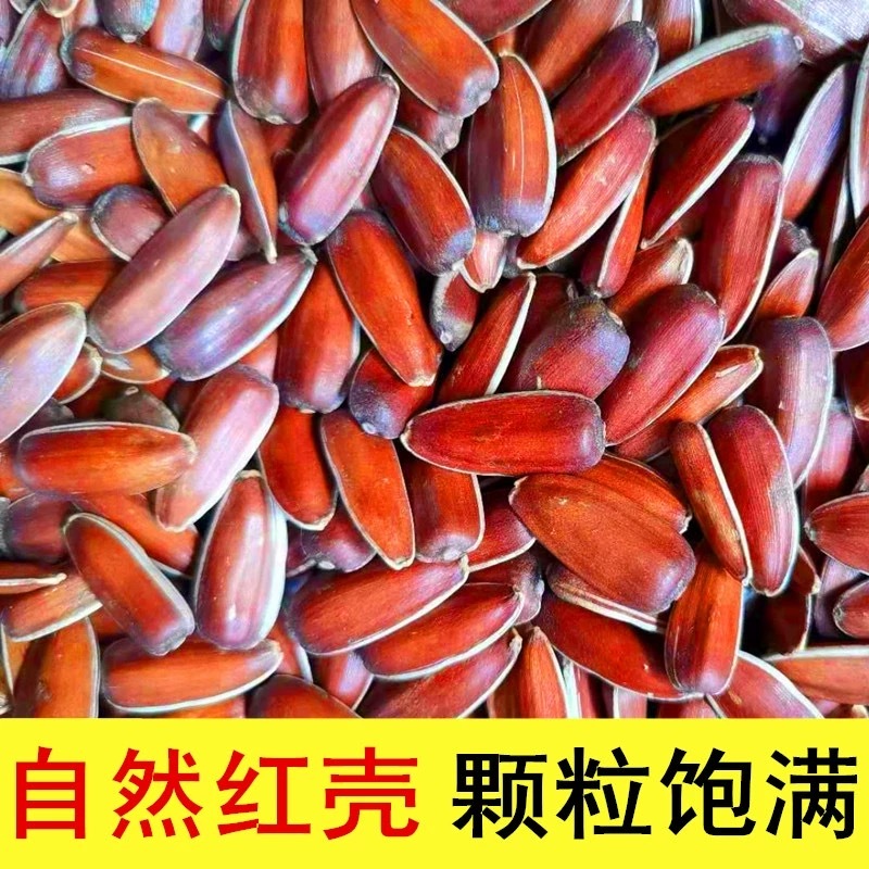 云南生红瓜子大颗粒散装小包装原味甜糯新货零食红皮瓜子生葵