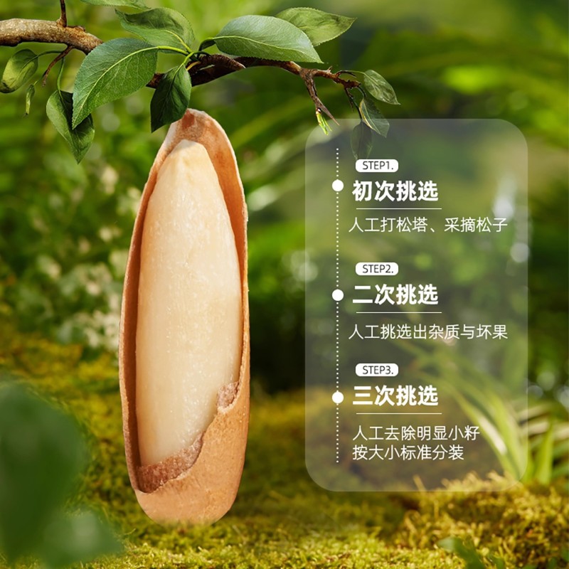 巴西松子手剥长粒特2025新货大颗粒级阿富汗干果
