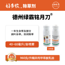 德州绿霸铭月刀960克/升精异丙甲草胺乳油100克