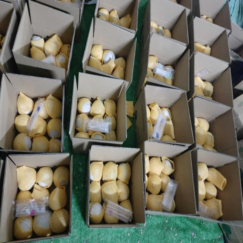 海南老椰皇椰白接一件代发！商超批发！社区团购