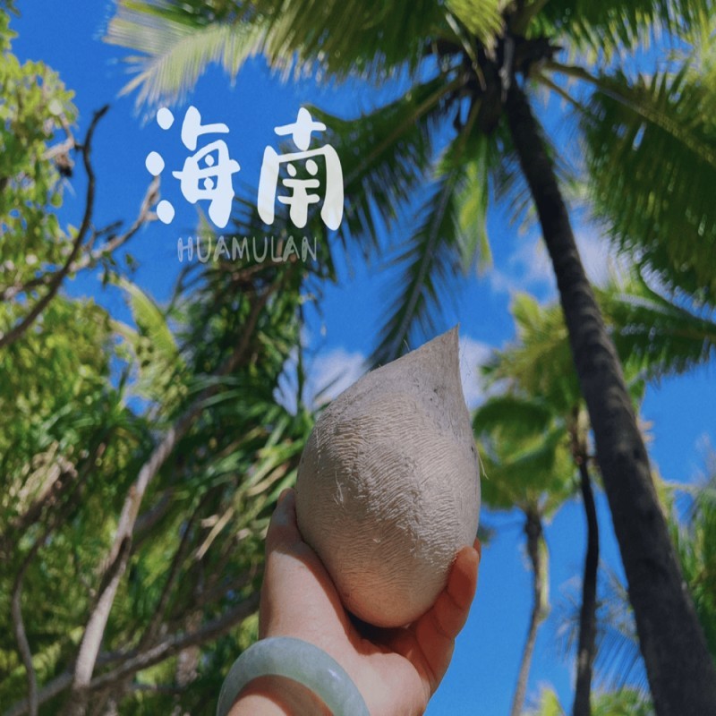 海南老椰皇椰白接一件代发！商超批发！社区团购