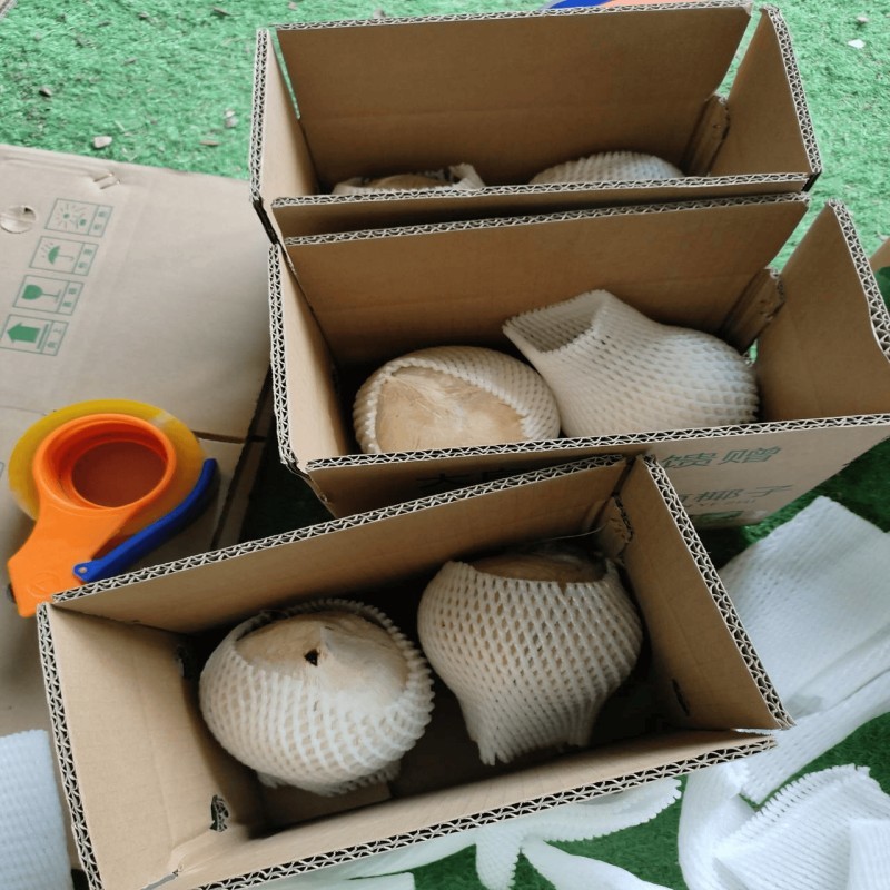 海南老椰皇椰白接一件代发！商超批发！社区团购