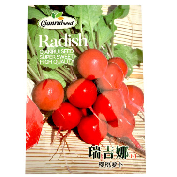 瑞吉娜樱桃萝卜种子早熟短叶型肉质细腻20-30天收获蔬菜