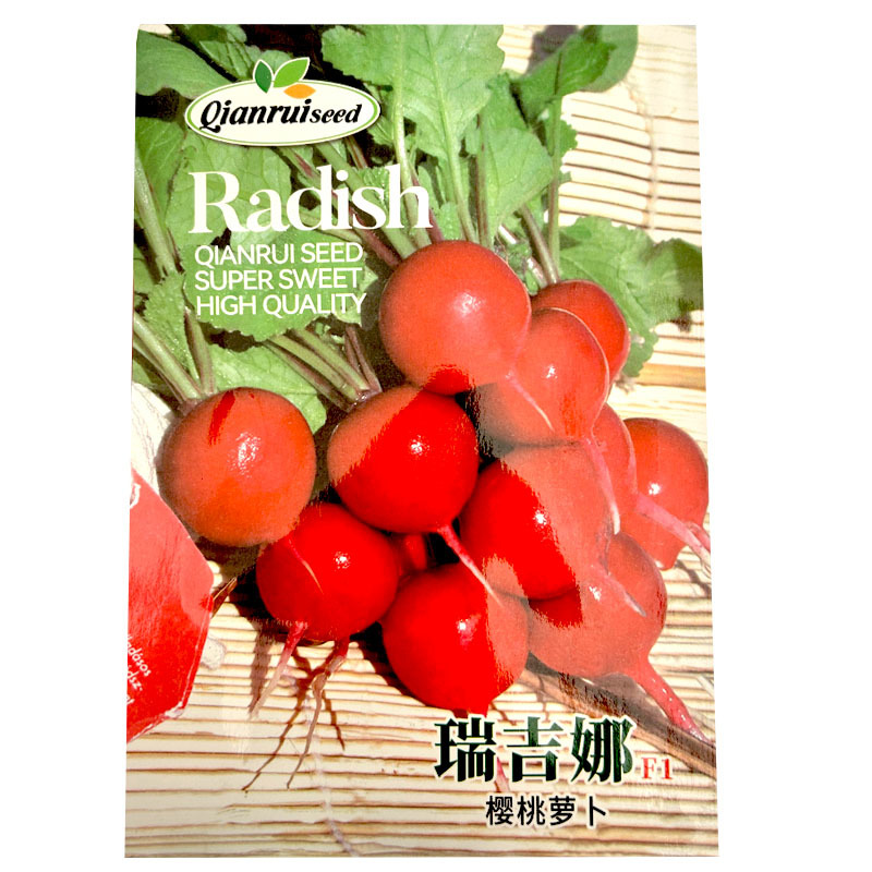 瑞吉娜樱桃萝卜种子早熟短叶型肉质细腻20-30天收获蔬菜