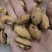 碧根果满仁2025新货长寿果零食干果炒货批发
