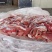 猪沙肝18吨现货手慢无螃蟹饲料