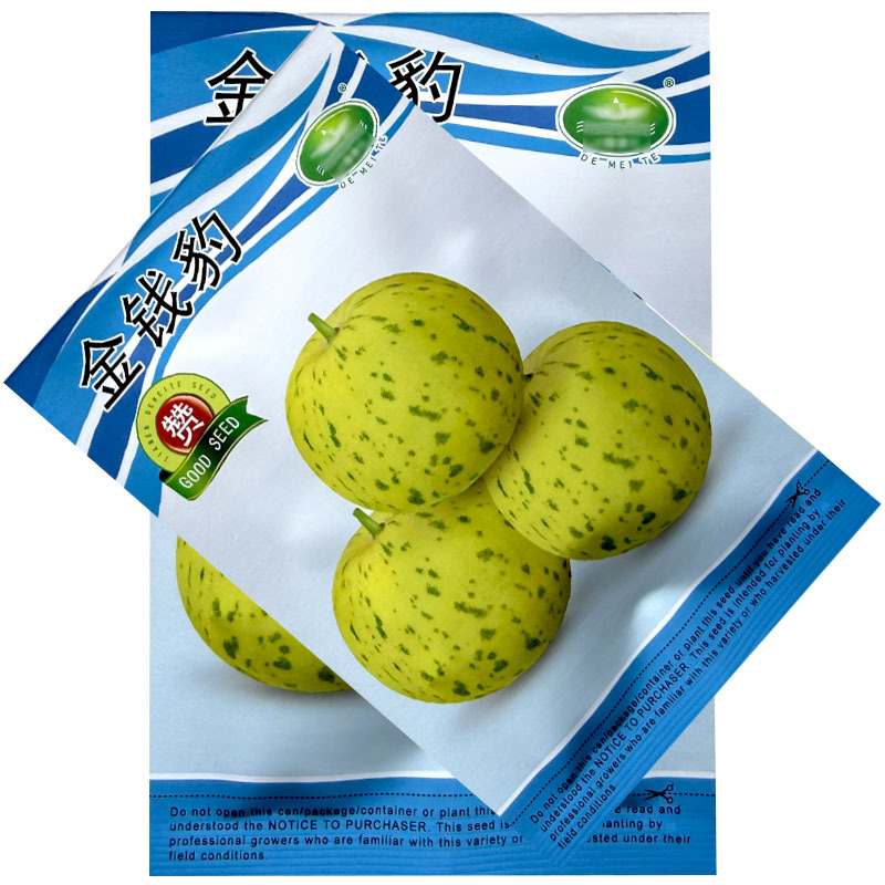 花皮薄皮金钱豹甜瓜种子脆甜绿肉早熟花甜瓜种子大田田基地
