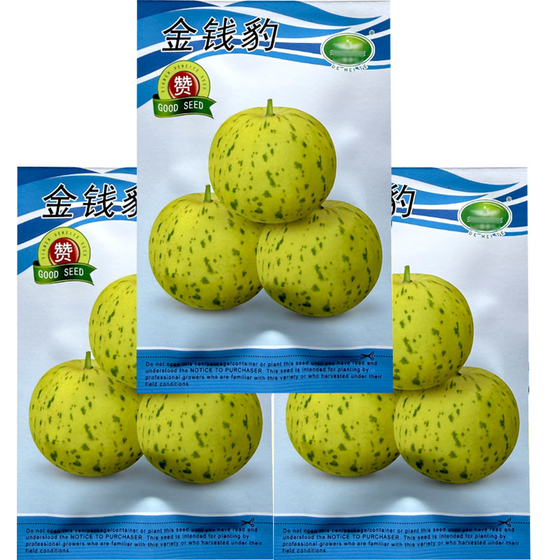 花皮薄皮金钱豹甜瓜种子脆甜绿肉早熟花甜瓜种子大田田基地