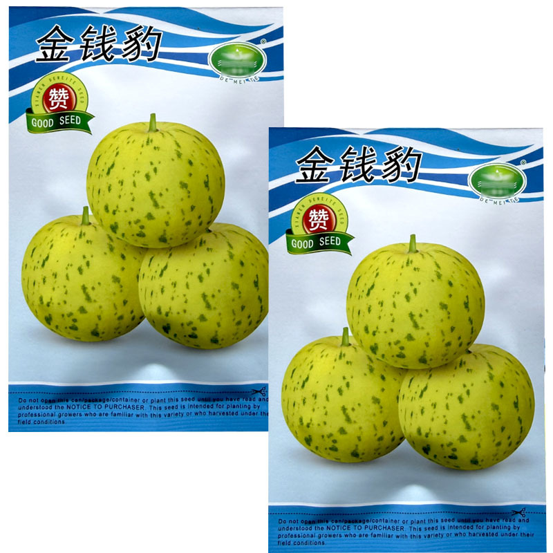 花皮薄皮金钱豹甜瓜种子脆甜绿肉早熟花甜瓜种子大田田基地